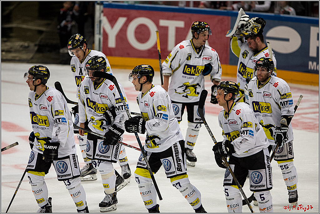 Koelner Haie - Krefeld Pinguine , 23.09.16(KW38)